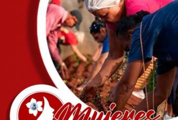 Mujeres en Revolución 