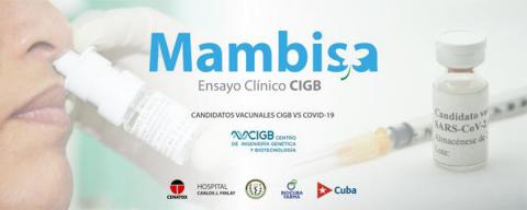 mambisa mambisa