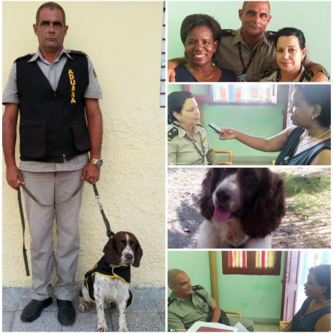 tecnica canina cfg