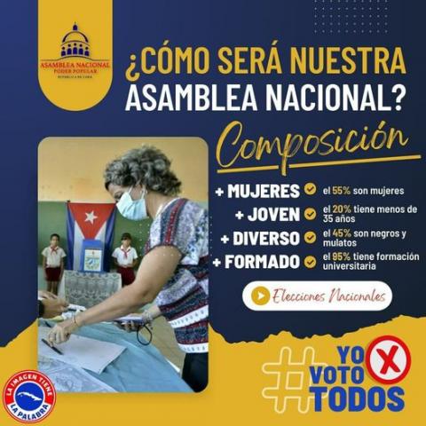 voto voto