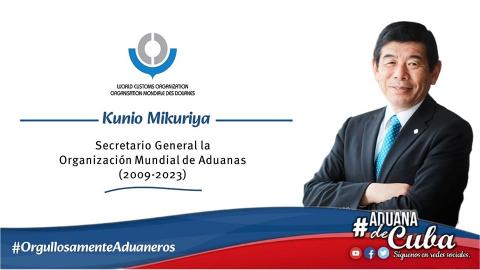 micurilla micurilla