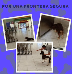 frontera segura