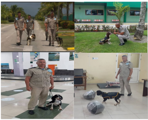 canina vcl canina vcl
