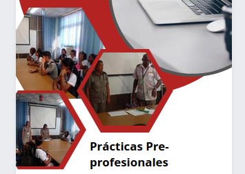 practicas pre profesionales stg