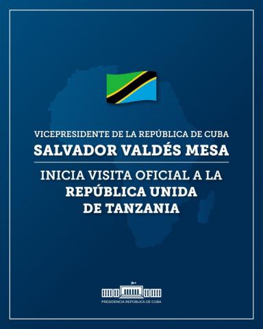 Visita oficial del Vicepresidente a Tanzania