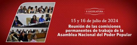 Reunión de las Comisiones