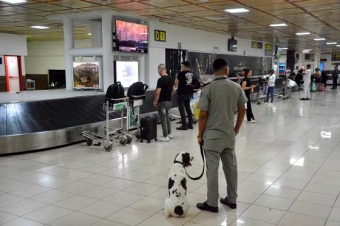 canina
