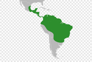 americas y el caribe