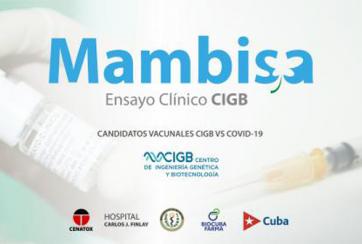 mambisa