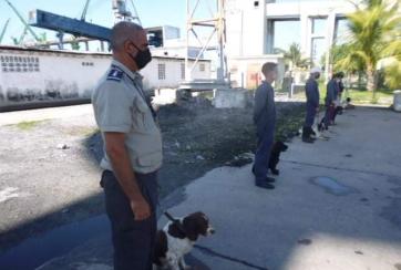 canina cienfuegos
