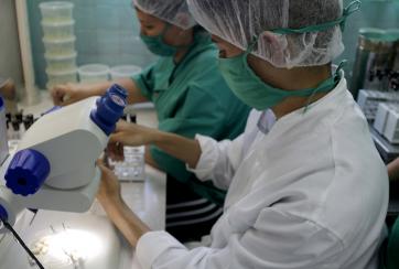 investigaciones agricolas