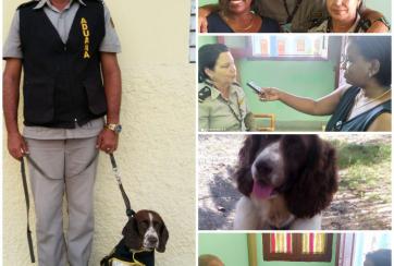 tecnica canina cfg