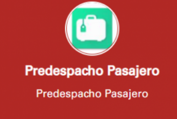 predespacho 