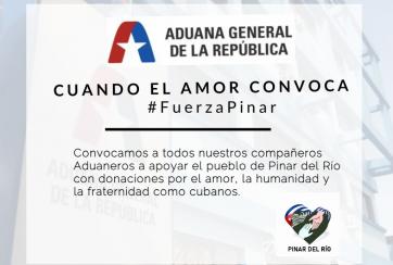 pinar