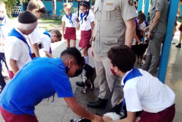 aijm comunidad
