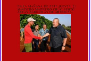 visita de marrero