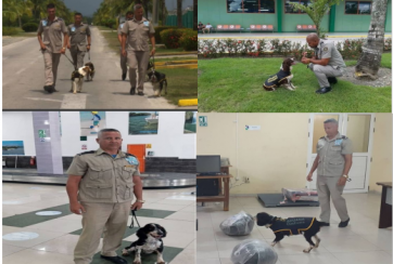 canina vcl