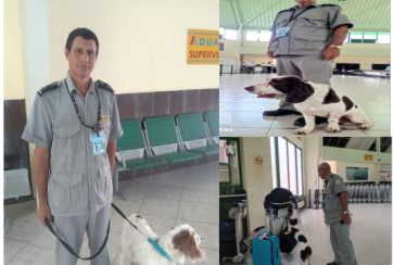 canina