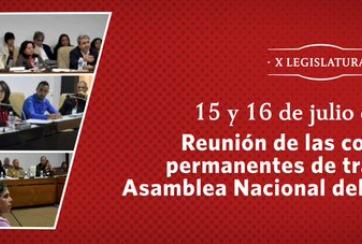 Reunión de las Comisiones