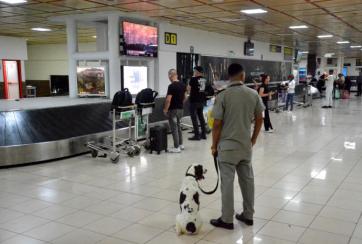 canina
