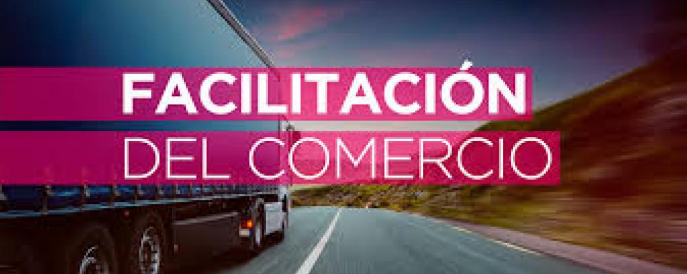 medidas del AFC