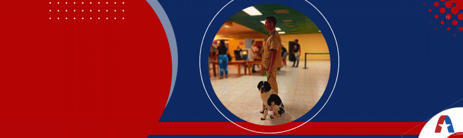 baner aduana 3